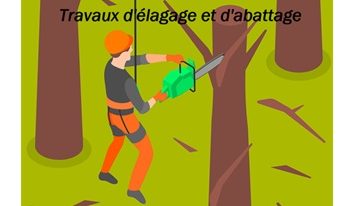 Travaux d’élagage et d’abattage
