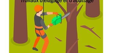 Travaux d’élagage et d’abattage